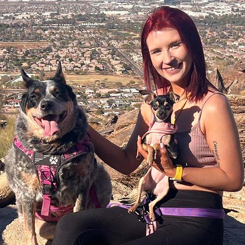 Desert Dog Dog Grooming Lead Dog Groomer Ciera
